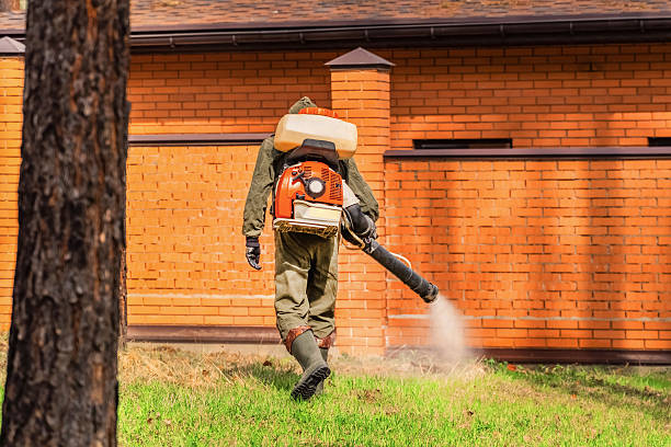 Trusted Fumigation Services service in Kaloko, HI - Nex Pest Control